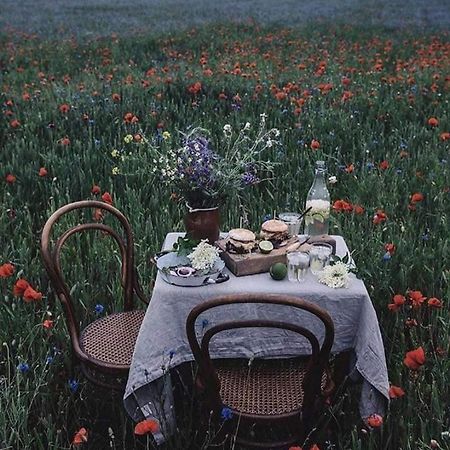 La Locanda Di Chicca Vische 외부 사진